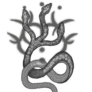 Meet your Posher, Paula